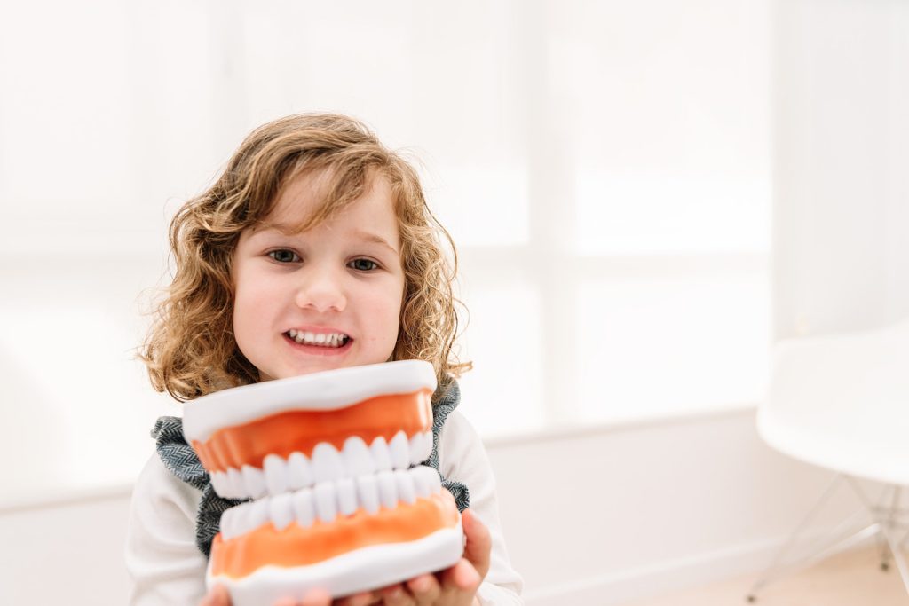 Little,Girl,Holding,Dental,Model,Learning,Oral,Hygiene,Smiling,At